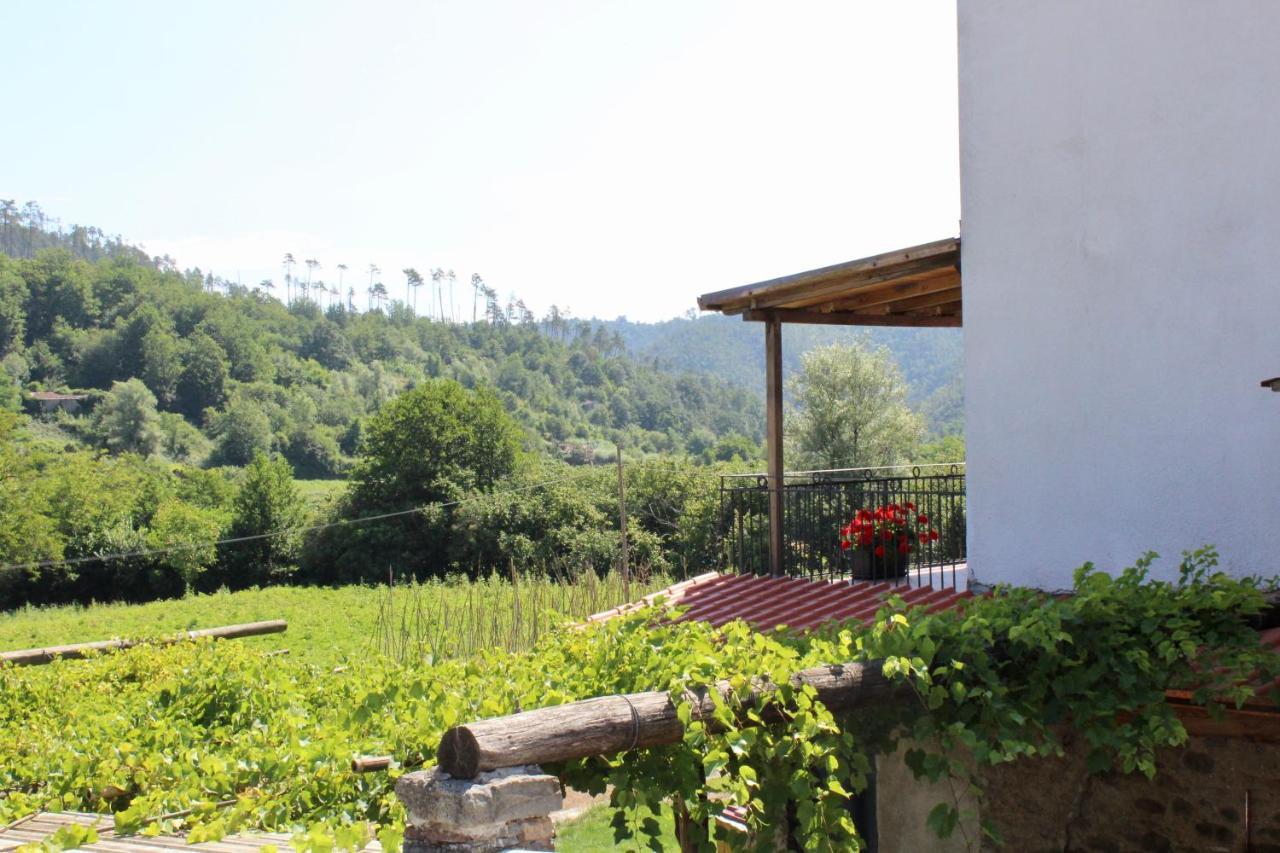 Agriturismo La Ferriera Pignone Exterior photo